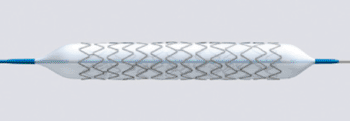 Image: The DESyne BD Novolimus Eluting Coronary Stent System (Photo courtesy of Elixir Medical Corporation).